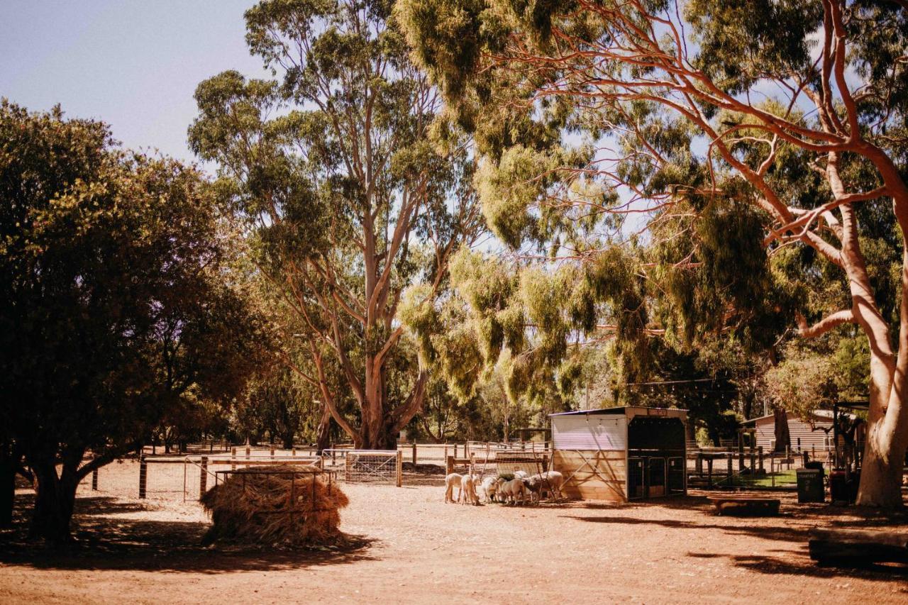 Margaret River Holiday Cottages Exterior foto