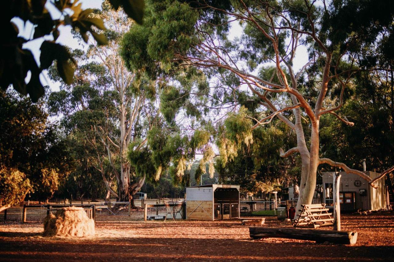 Margaret River Holiday Cottages Exterior foto