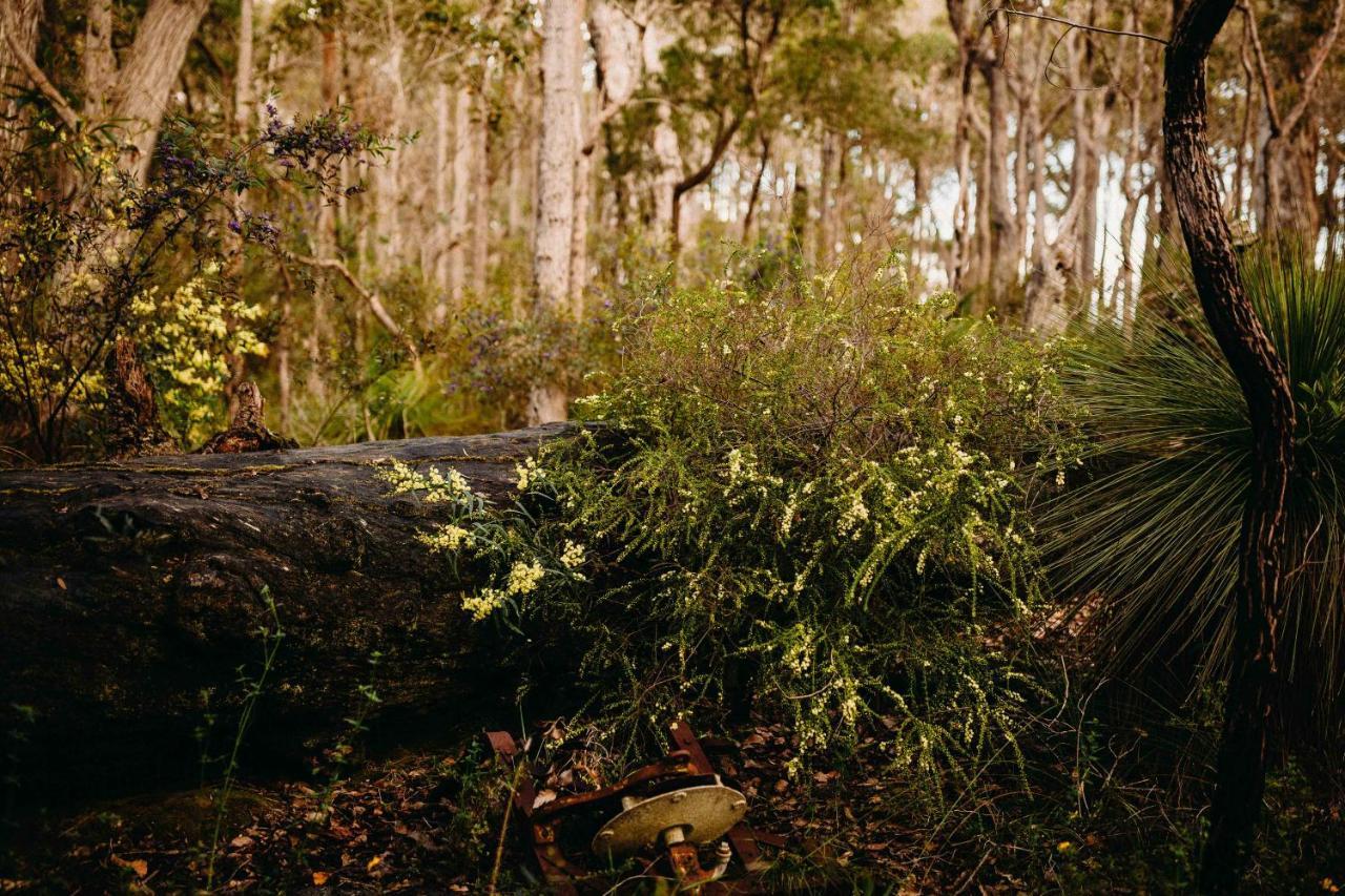 Margaret River Holiday Cottages Exterior foto