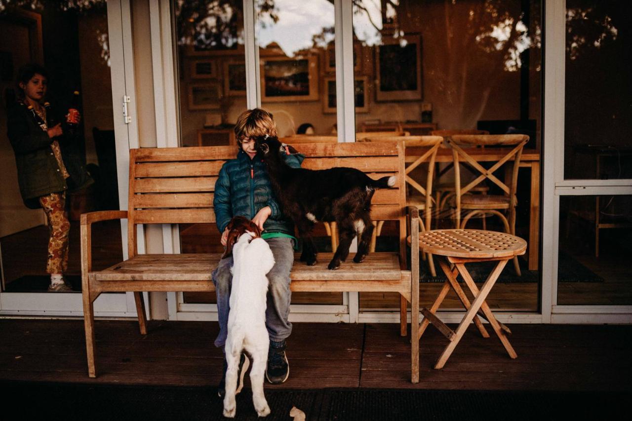 Margaret River Holiday Cottages Exterior foto